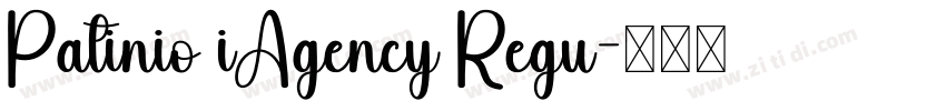 Patinio iAgency Regu字体转换